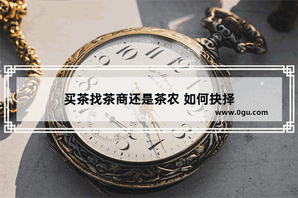 买茶找茶商还是茶农 如何抉择