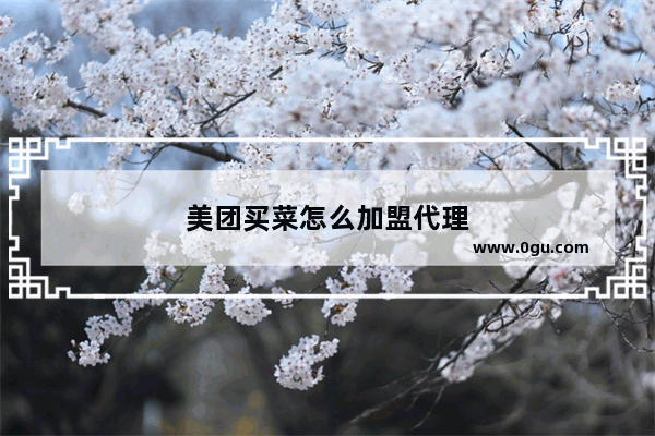 美团买菜怎么加盟代理