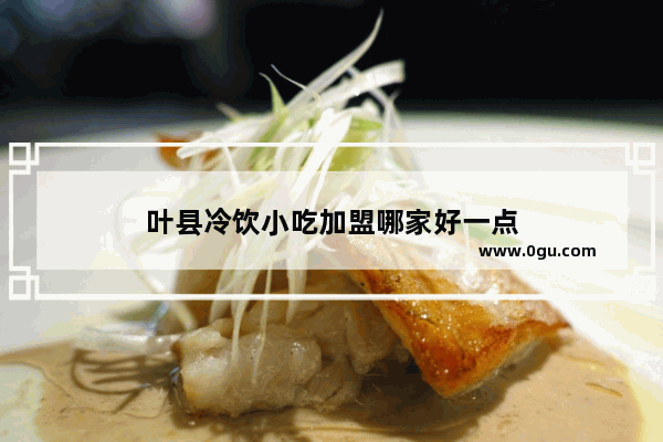 叶县冷饮小吃加盟哪家好一点
