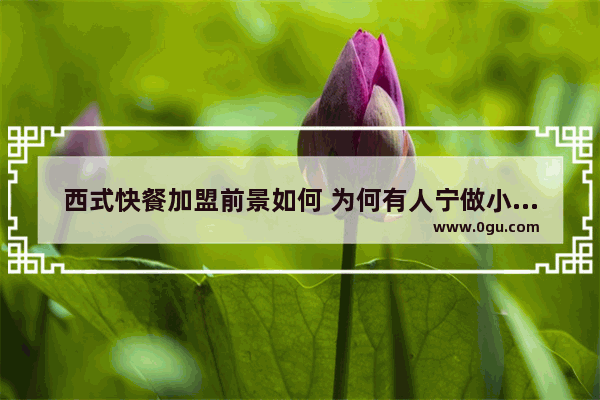 西式快餐加盟前景如何 为何有人宁做小品牌也不做大品牌