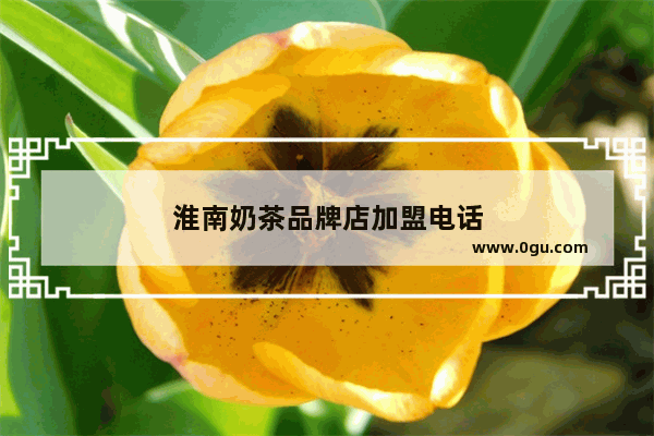 淮南奶茶品牌店加盟电话