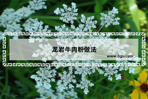 龙岩牛肉粉做法
