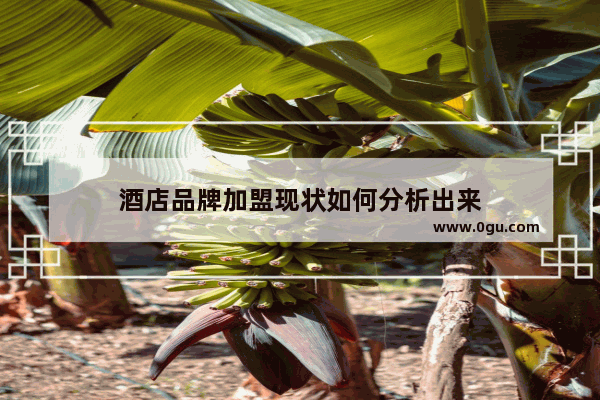 酒店品牌加盟现状如何分析出来
