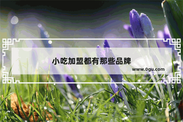 小吃加盟都有那些品牌