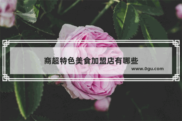 商超特色美食加盟店有哪些