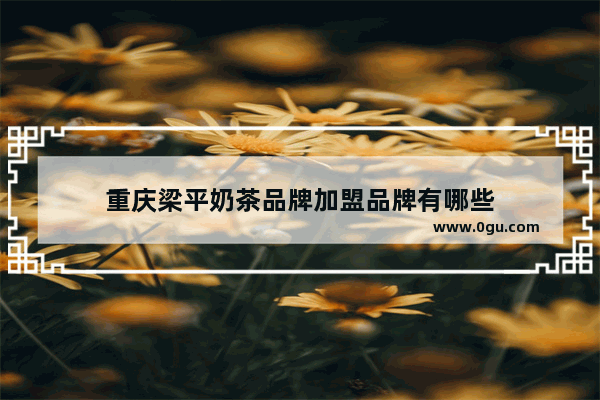 重庆梁平奶茶品牌加盟品牌有哪些