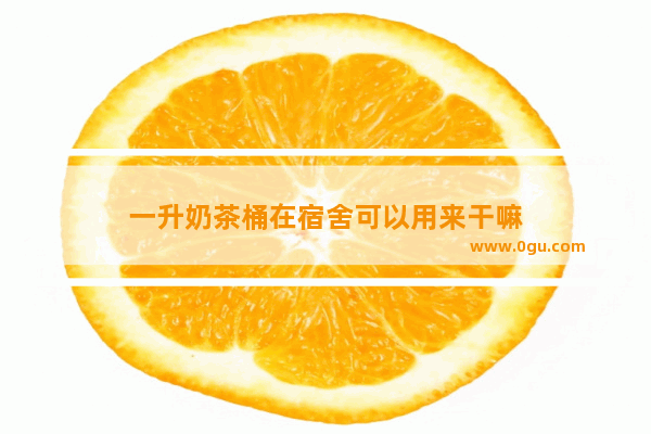 一升奶茶桶在宿舍可以用来干嘛