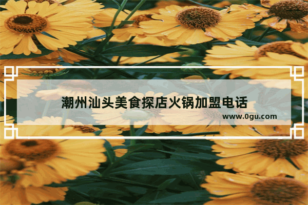 潮州汕头美食探店火锅加盟电话
