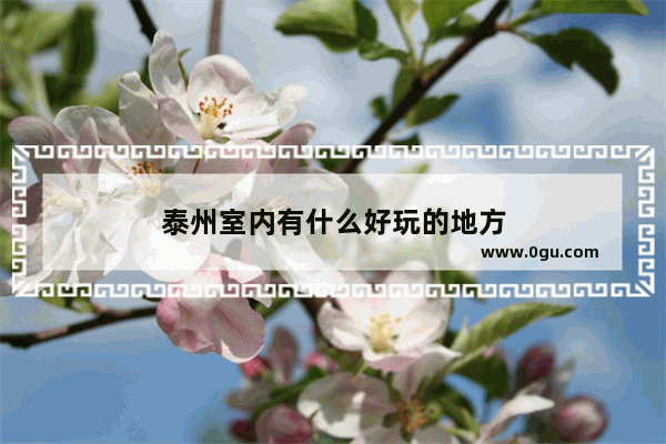 泰州室内有什么好玩的地方