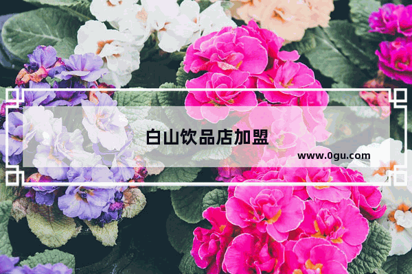 白山饮品店加盟