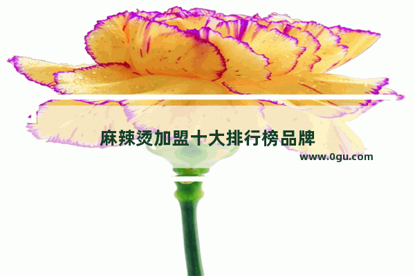 麻辣烫加盟十大排行榜品牌