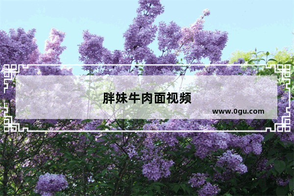 胖妹牛肉面视频