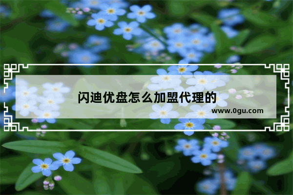 闪迪优盘怎么加盟代理的