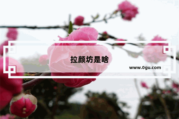 拉颜坊是啥