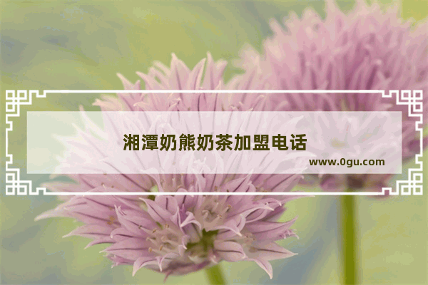 湘潭奶熊奶茶加盟电话