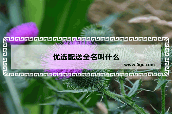 优选配送全名叫什么