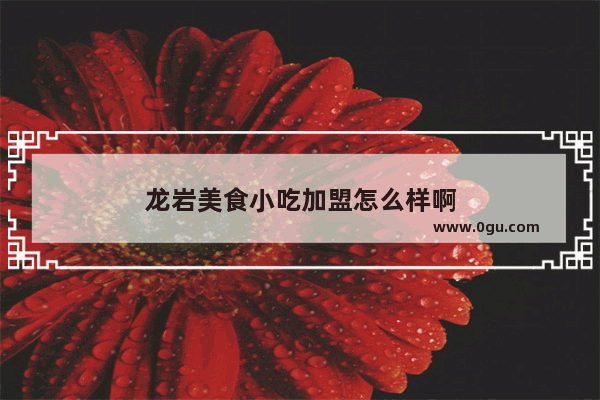 龙岩美食小吃加盟怎么样啊