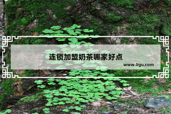 连锁加盟奶茶哪家好点