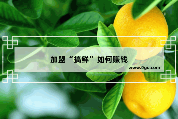 加盟“搞鲜”如何赚钱