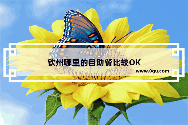 钦州哪里的自助餐比较OK