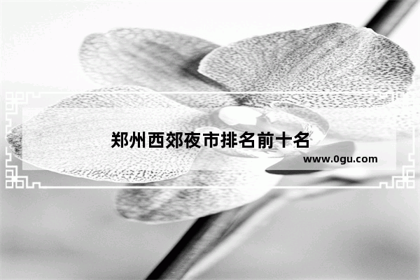 郑州西郊夜市排名前十名