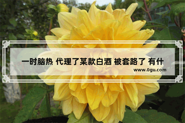 一时脑热 代理了某款白酒 被套路了 有什么办法申诉