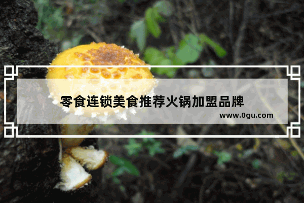 零食连锁美食推荐火锅加盟品牌