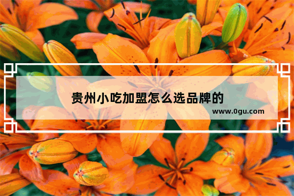 贵州小吃加盟怎么选品牌的