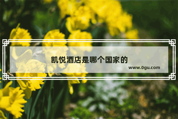 凯悦酒店是哪个国家的