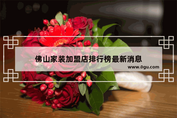 佛山家装加盟店排行榜最新消息
