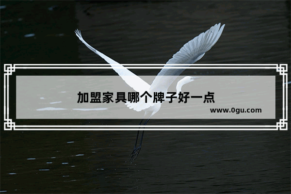 加盟家具哪个牌子好一点