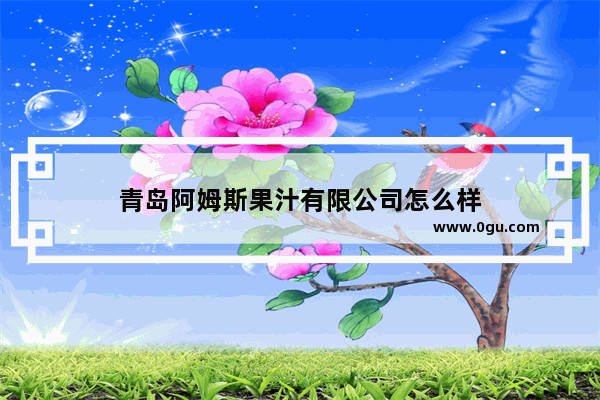 青岛阿姆斯果汁有限公司怎么样