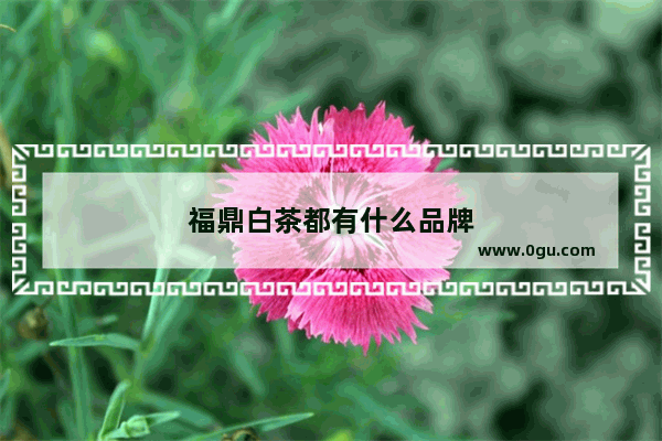 福鼎白茶都有什么品牌