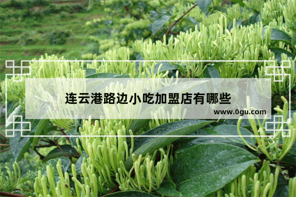 连云港路边小吃加盟店有哪些