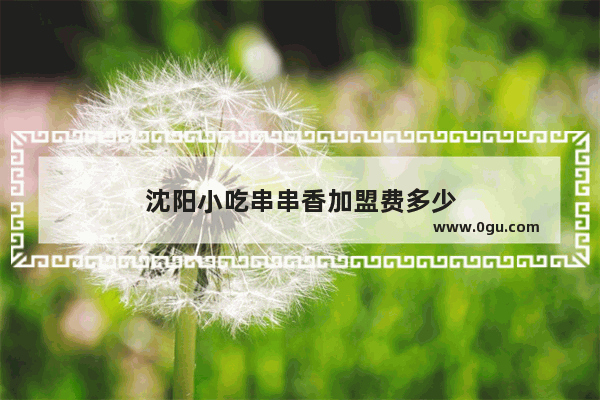 沈阳小吃串串香加盟费多少