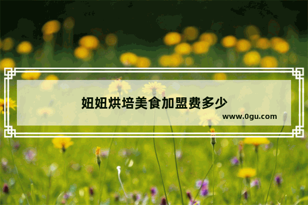 妞妞烘培美食加盟费多少