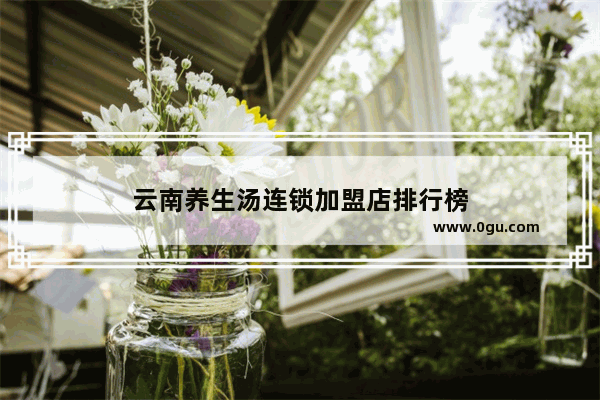 云南养生汤连锁加盟店排行榜