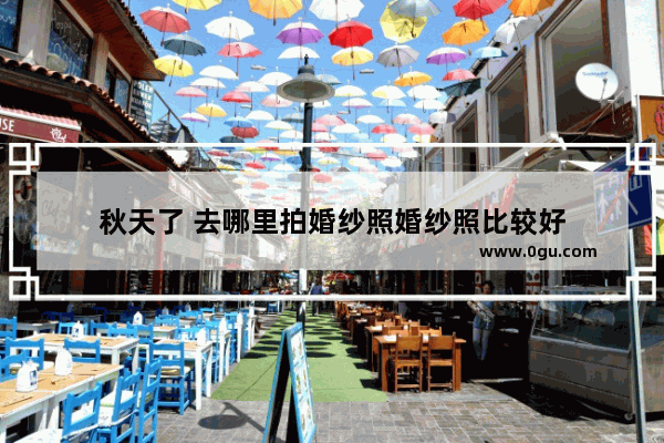 秋天了 去哪里拍婚纱照婚纱照比较好