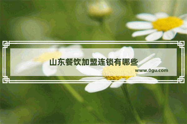 山东餐饮加盟连锁有哪些