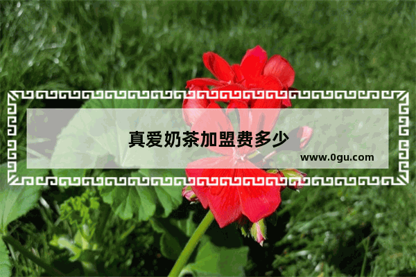 真爱奶茶加盟费多少