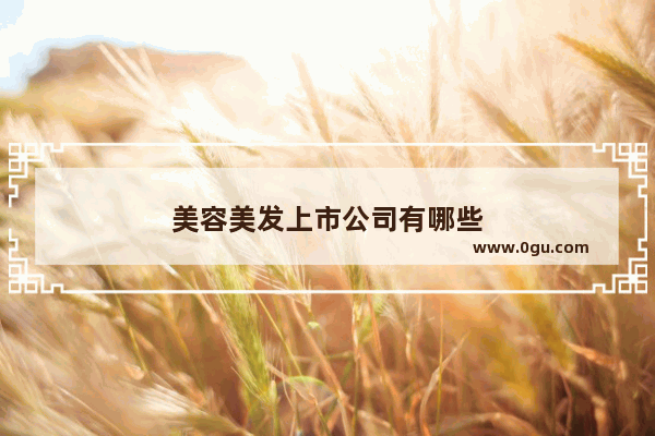 美容美发上市公司有哪些