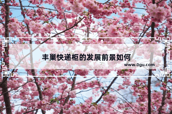 丰巢快递柜的发展前景如何