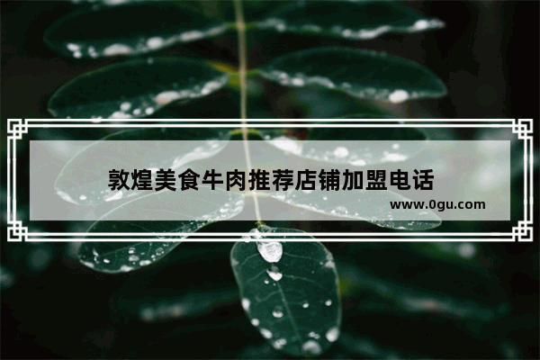 敦煌美食牛肉推荐店铺加盟电话