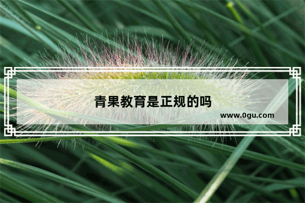 青果教育是正规的吗