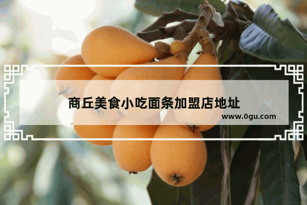 商丘美食小吃面条加盟店地址