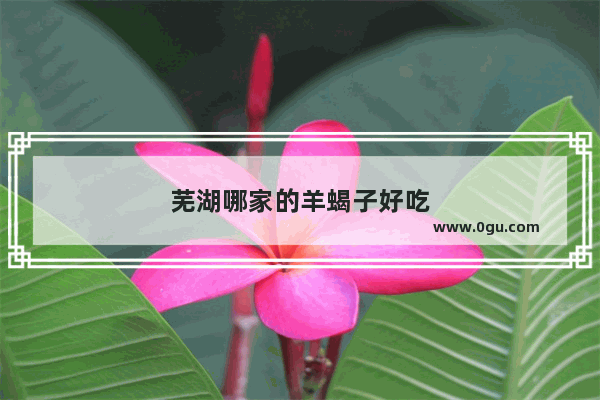 芜湖哪家的羊蝎子好吃