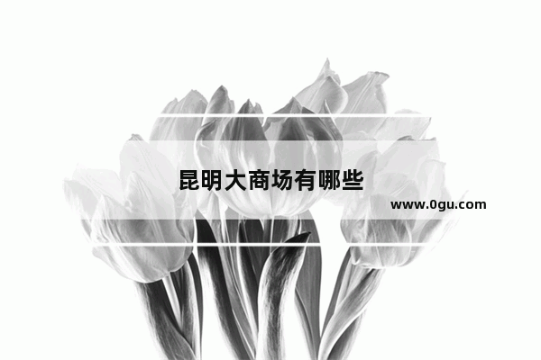 昆明大商场有哪些