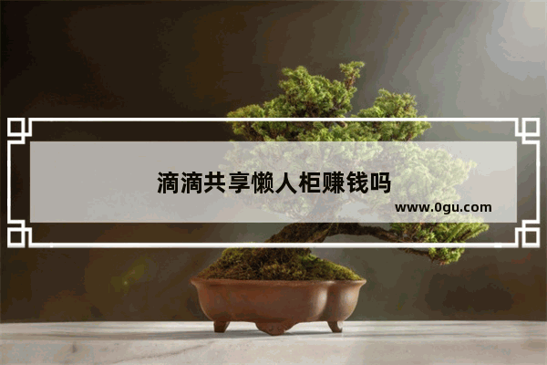 滴滴共享懒人柜赚钱吗