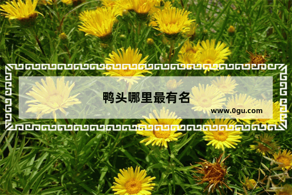 鸭头哪里最有名