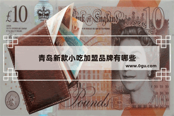 青岛新款小吃加盟品牌有哪些